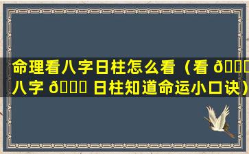 命理看八字日柱怎么看（看 🐈 八字 🍀 日柱知道命运小口诀）